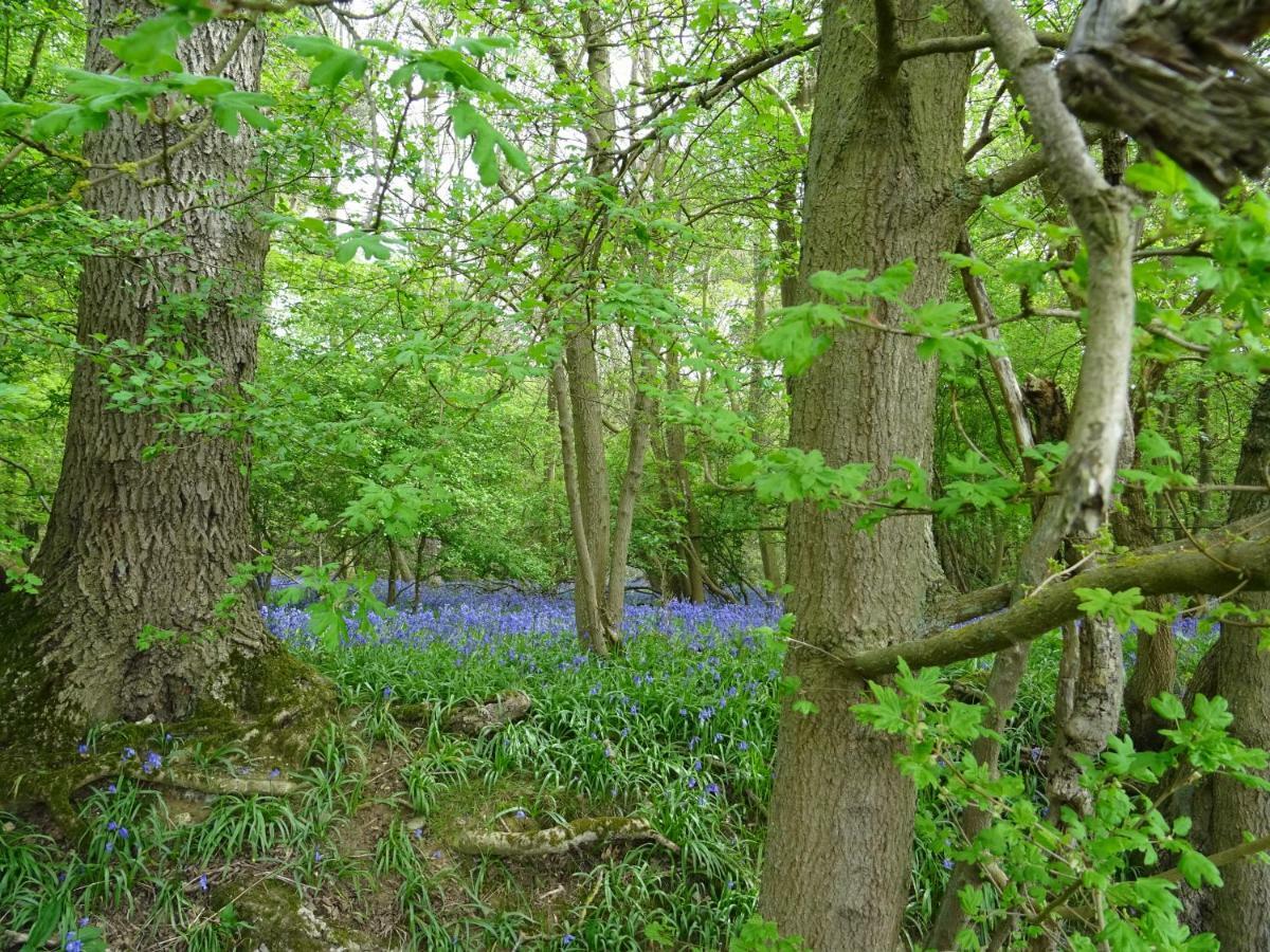 Apartmán Oakwrights Terling Exteriér fotografie